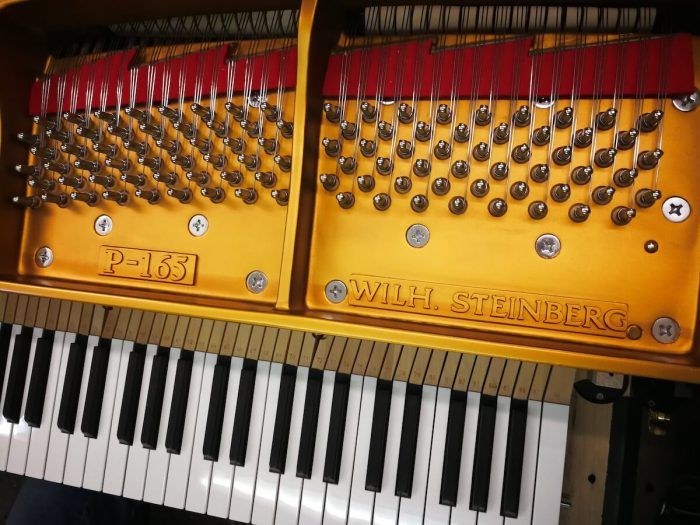 Wilhelm Steinberg Piano P152 P165 teclado